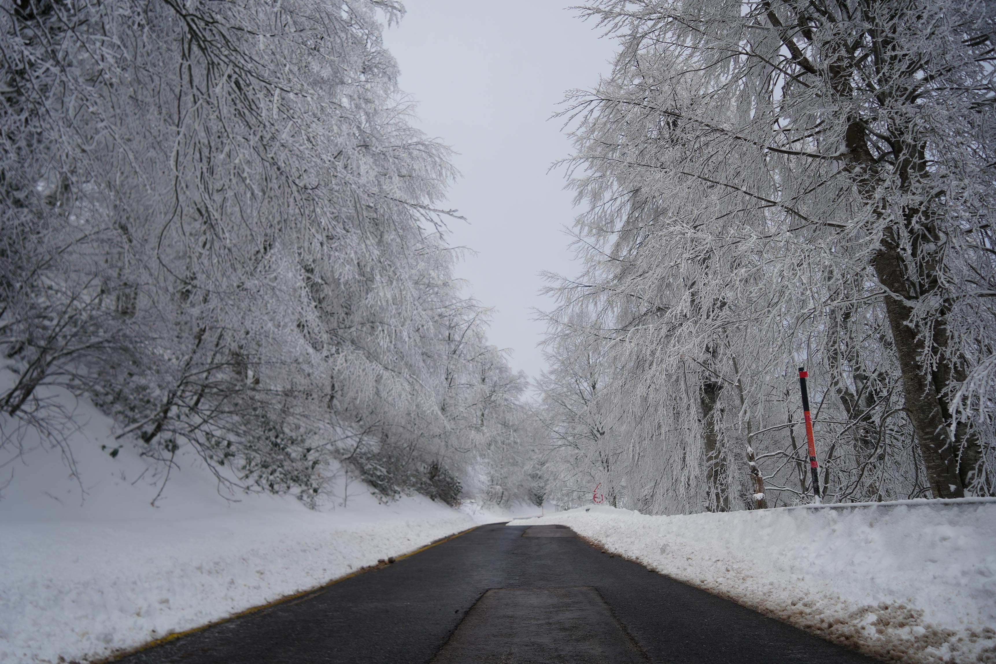 Vatandaşlar Akın Etti! Kartepe'den Muthiş Kar Manzaları 05