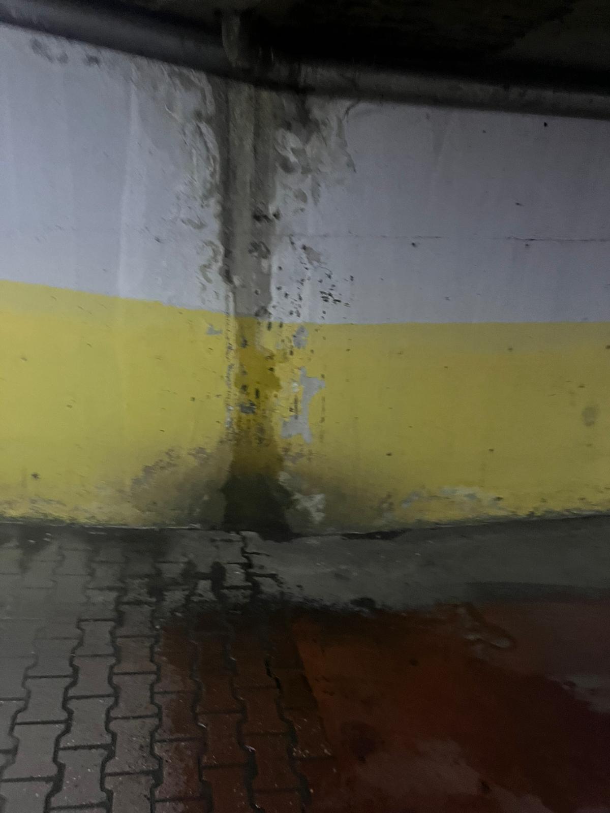 Whatsapp Image 2025 12 03 At 07.34.25