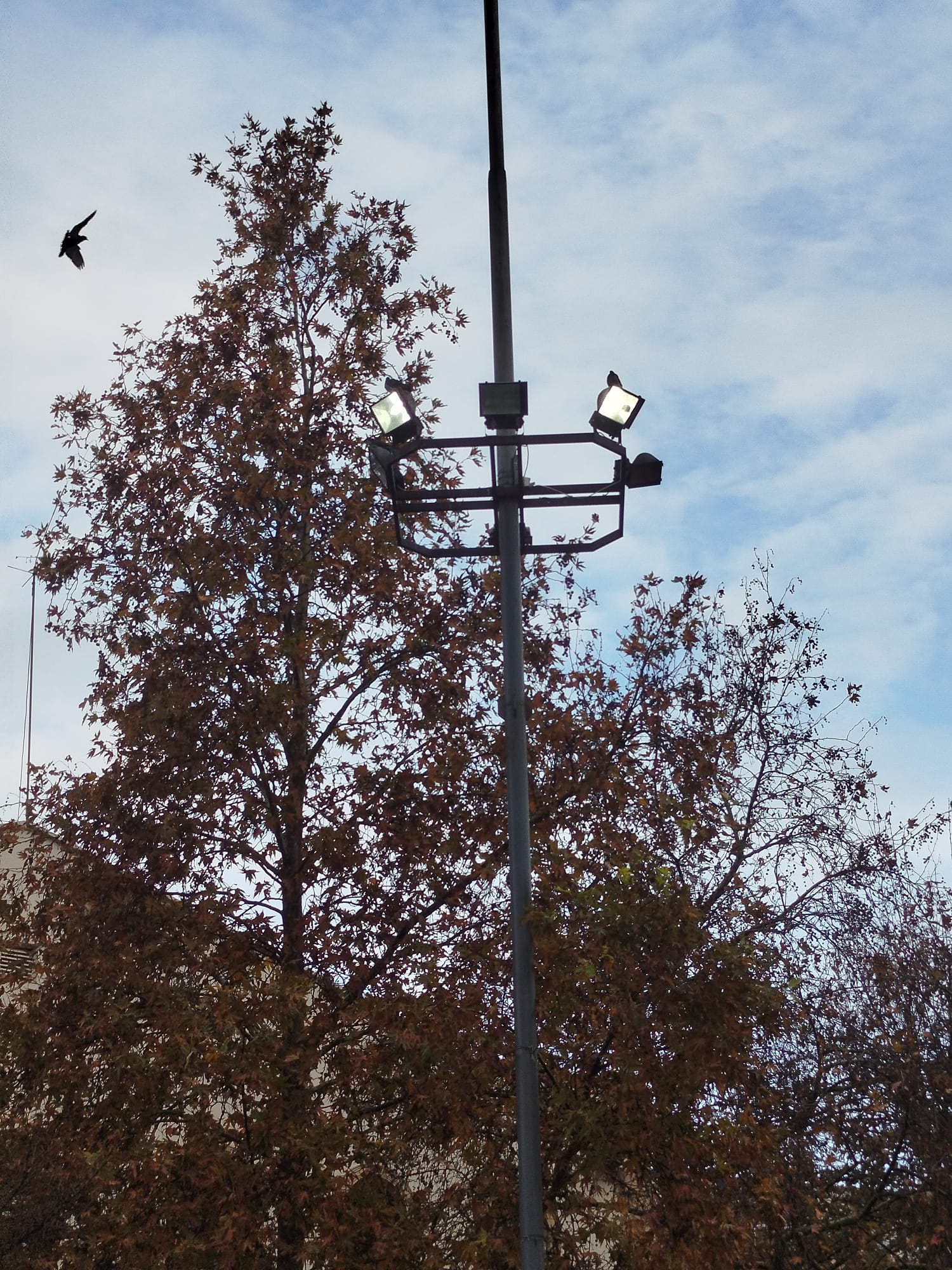 Whatsapp Image 2025 12 15 At 11.55.29