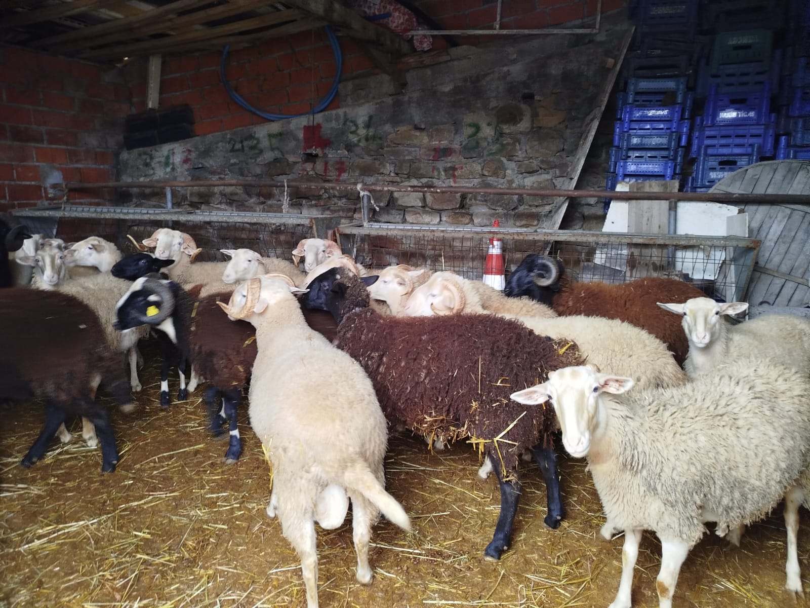 Whatsapp Image 2025 12 22 At 13.52.37