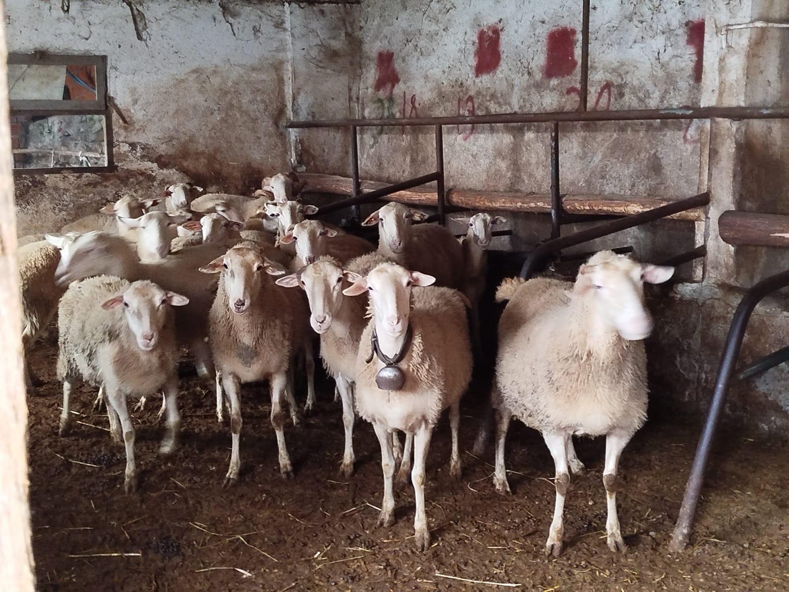 Whatsapp Image 2025 12 22 At 13.53.15