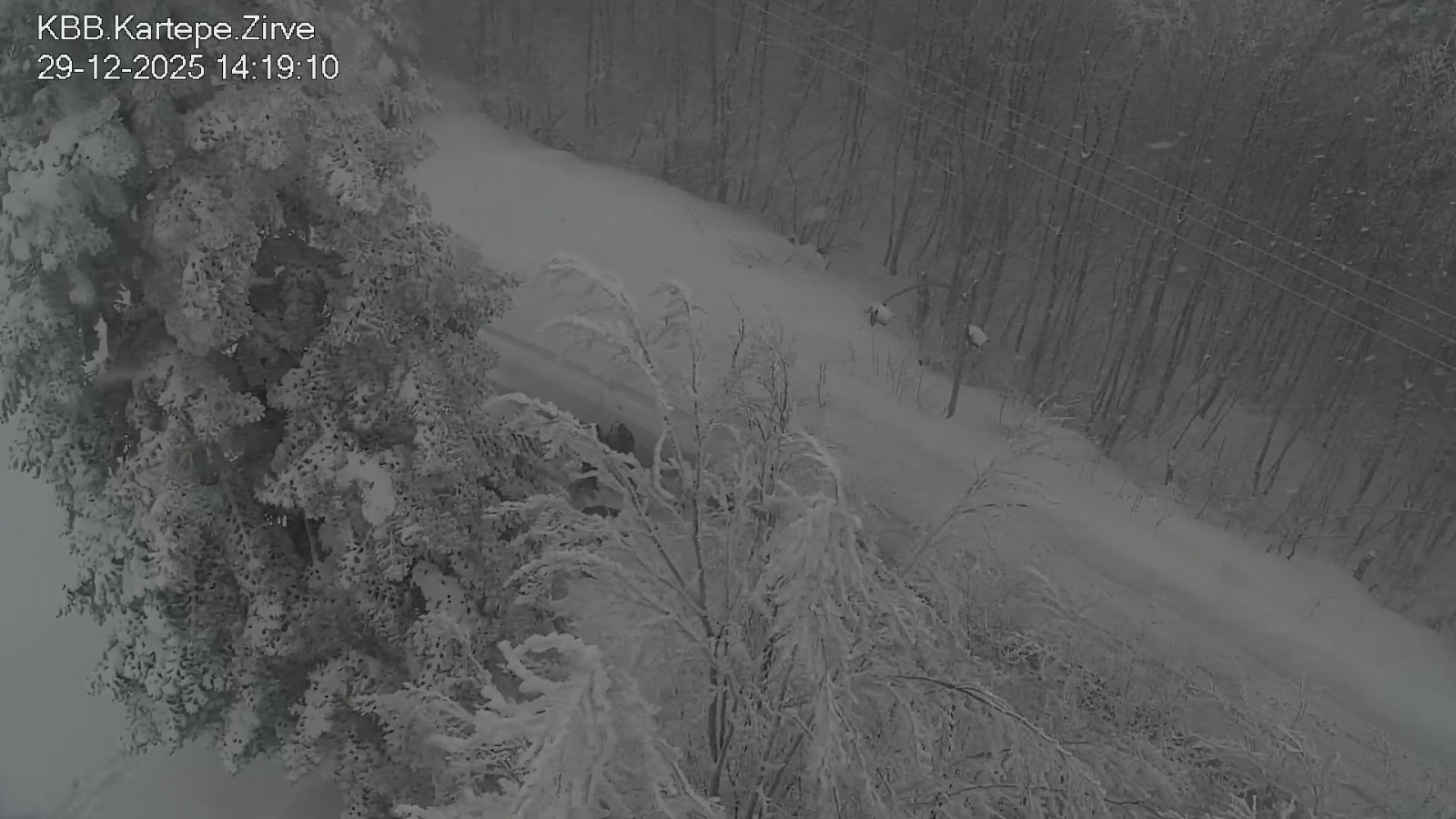 Whatsapp Image 2025 12 29 At 14.21.06