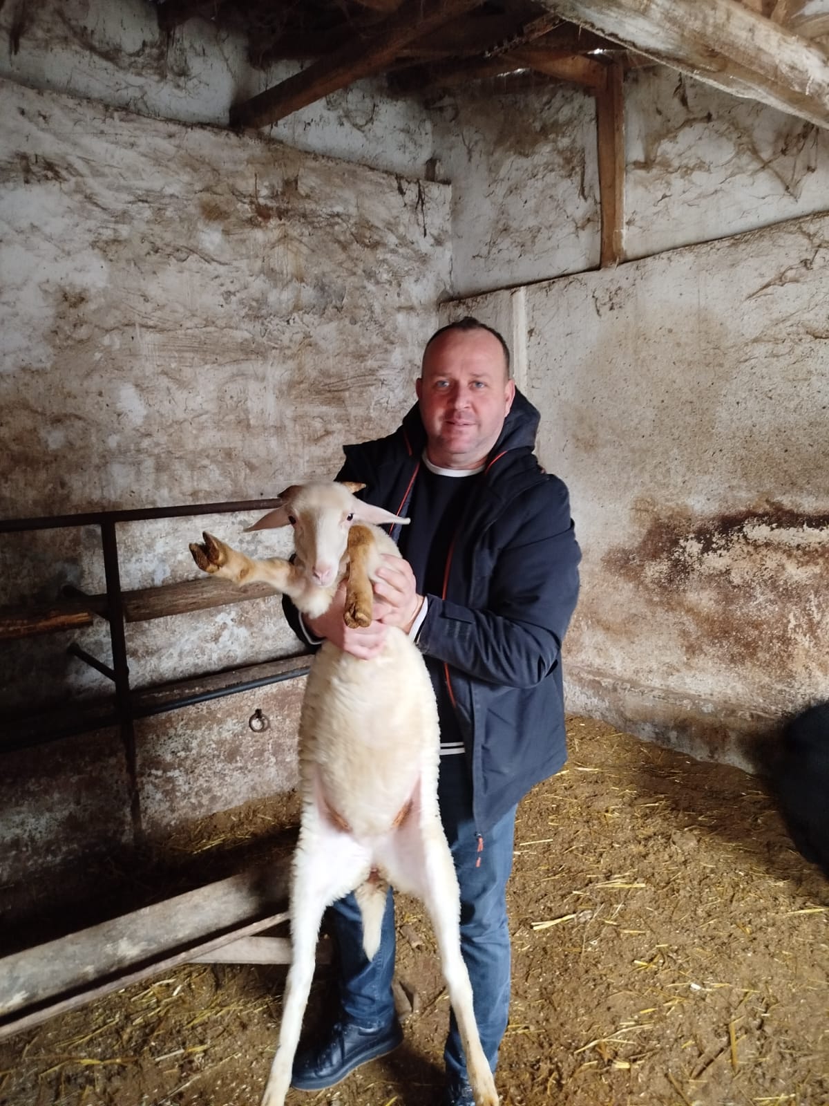 Whatsapp Image 2025 12Ew.15