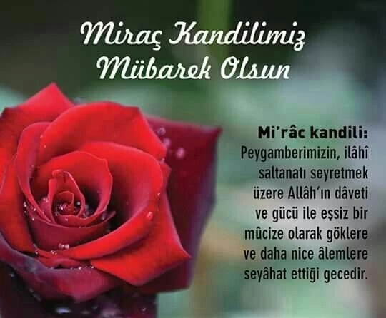 5Acf0791B699De14Ac918996