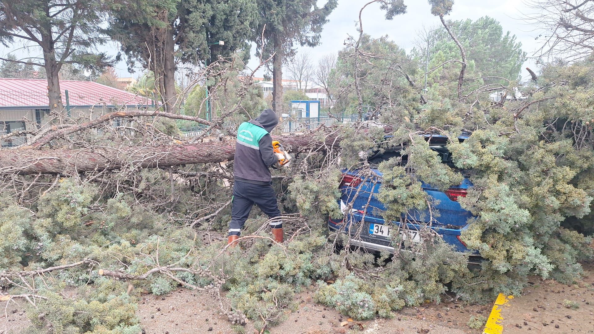 Başiskele’de Fırtına Hayatı Aksattı, Ekipler Gece Gündüz Çalıştı (3)