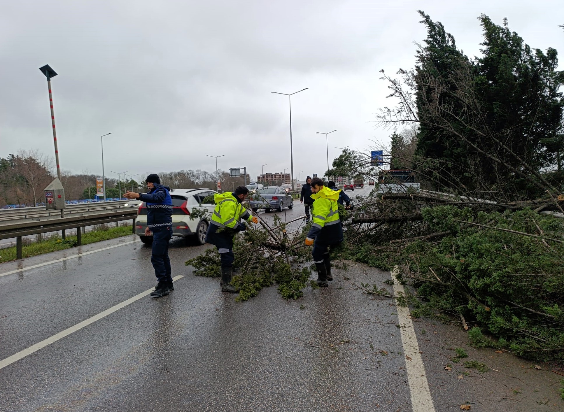Büyükşehir, Şiddetli Lodosa Karşı Teyakkuzda (5)