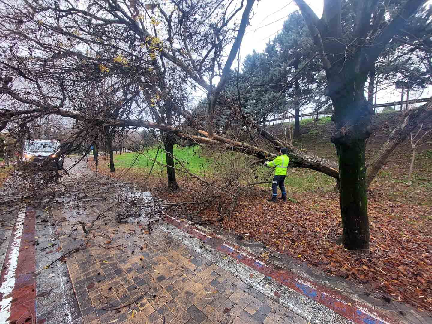 Büyükşehir, Şiddetli Lodosa Karşı Teyakkuzda (8) (Büyük)