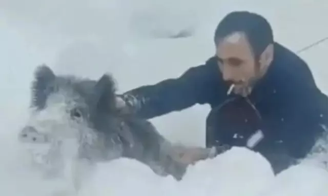 Cezası Ağır Oldu!-2