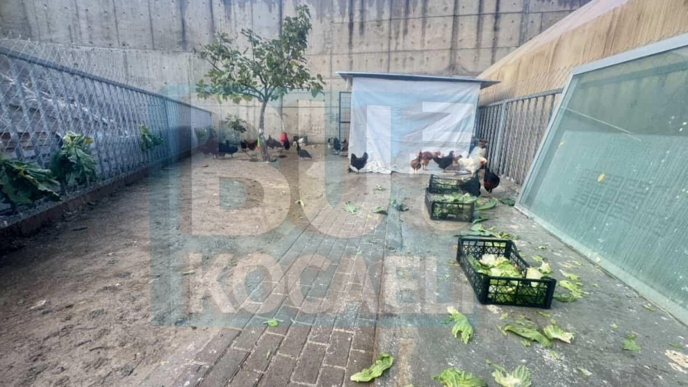 Db Si̇lmeyi̇n Dokunmayin (720 X 405 Piksel) Kopyası Kopyası (36)