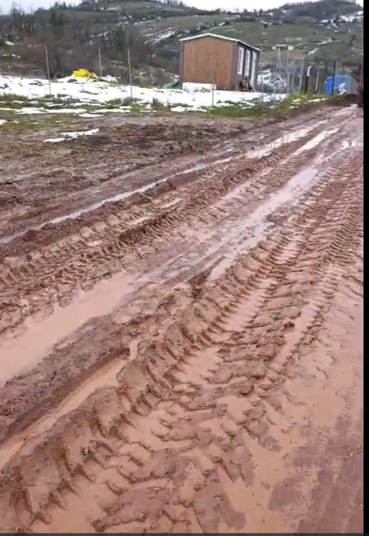 Ekran Görüntüsü 2026 01 23 234937