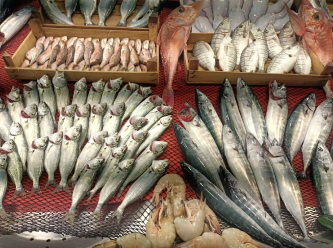 Ekran Görüntüsü 2026 01 24 132514