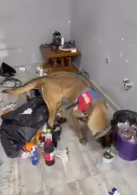 Eş Zamanli Uyuşturucu Operasyonu! (4)