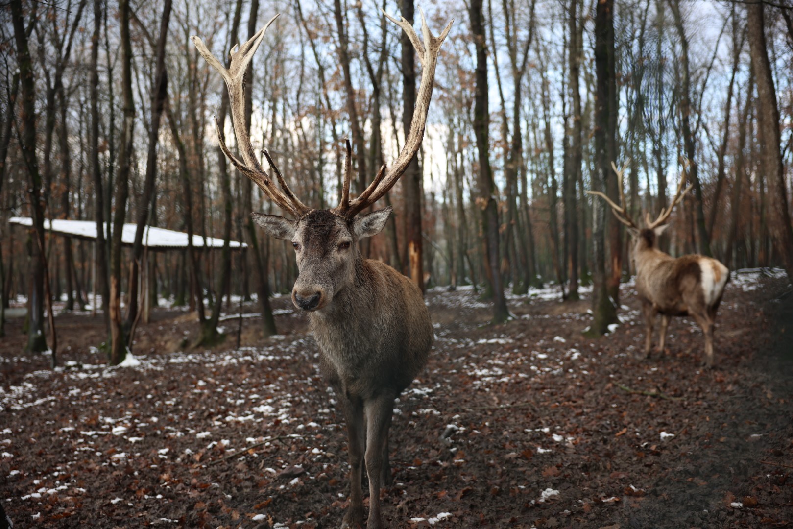 Kartpostallık Görüntüler Ortaya Çıktı (13)