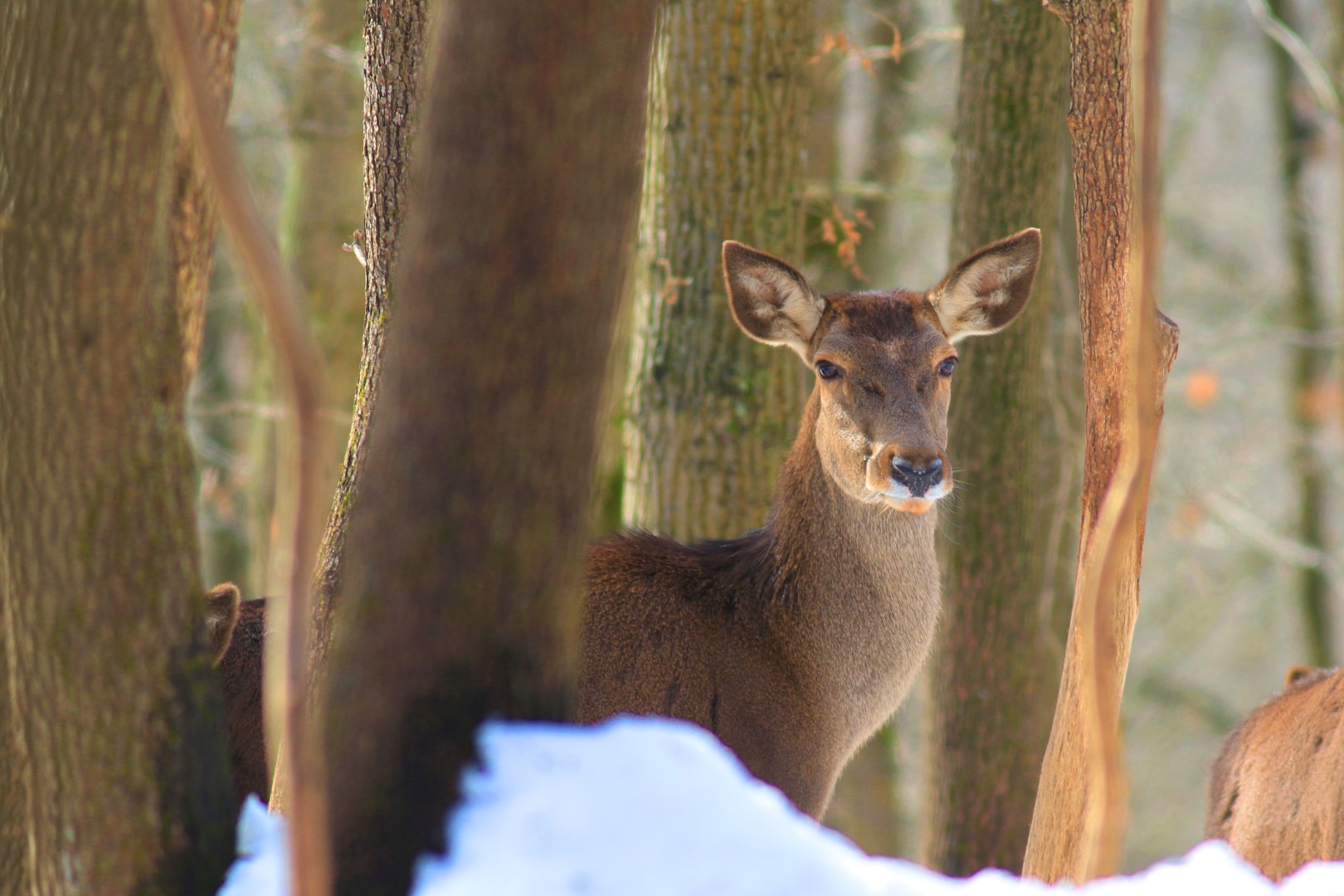 Kartpostallık Görüntüler Ortaya Çıktı (2)