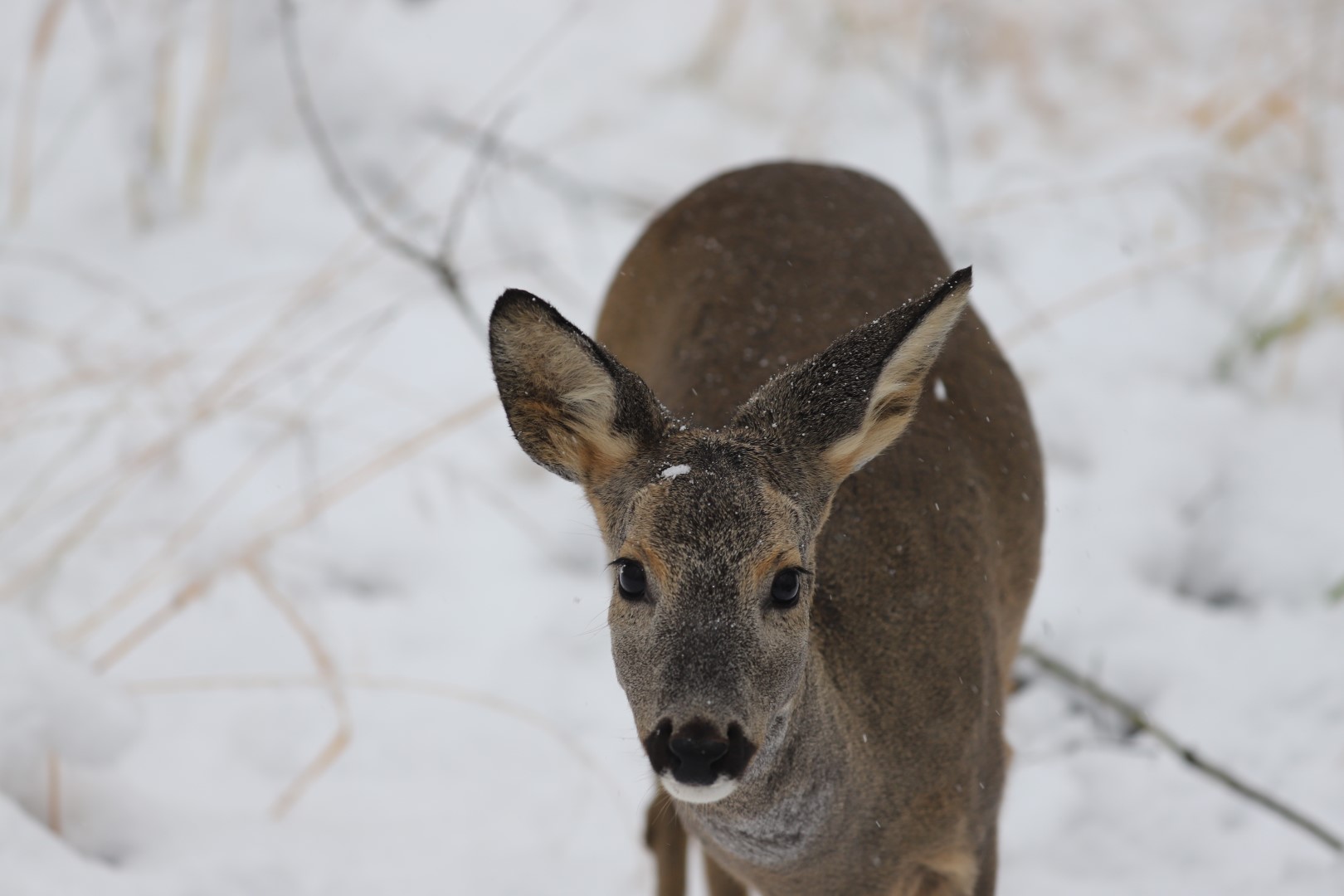 Kartpostallık Görüntüler Ortaya Çıktı (5)