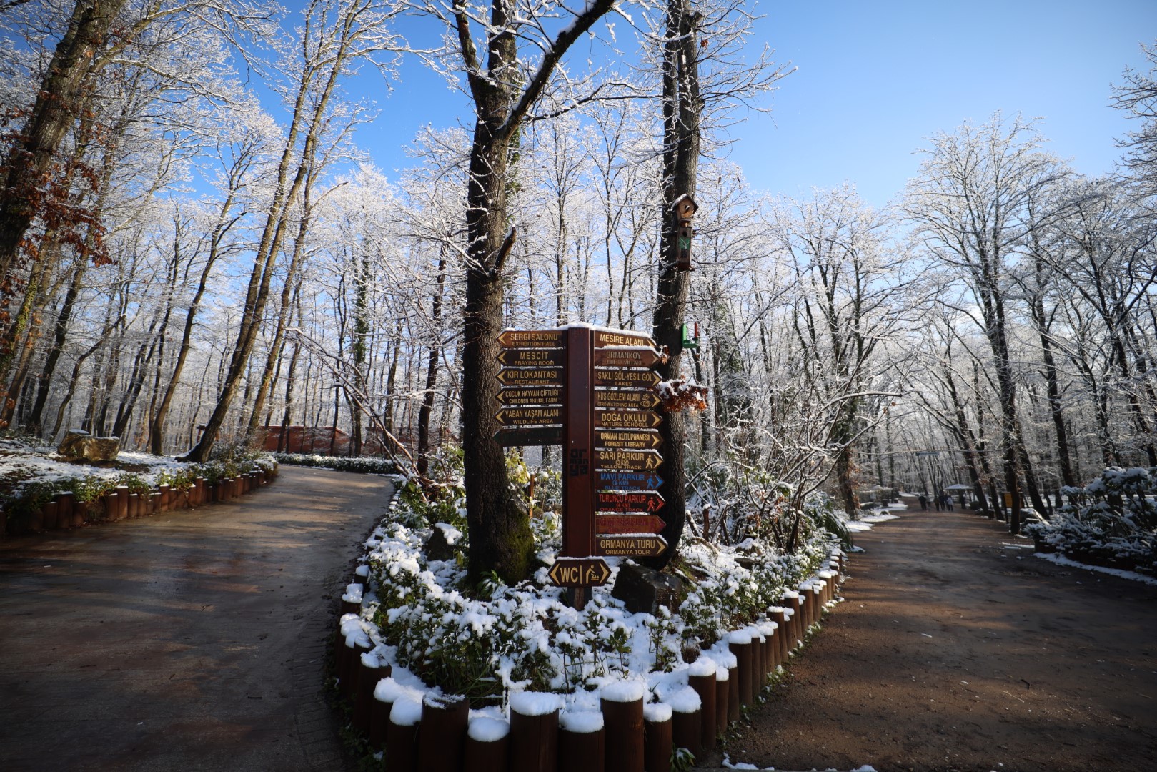 Kartpostallık Görüntüler Ortaya Çıktı (6)