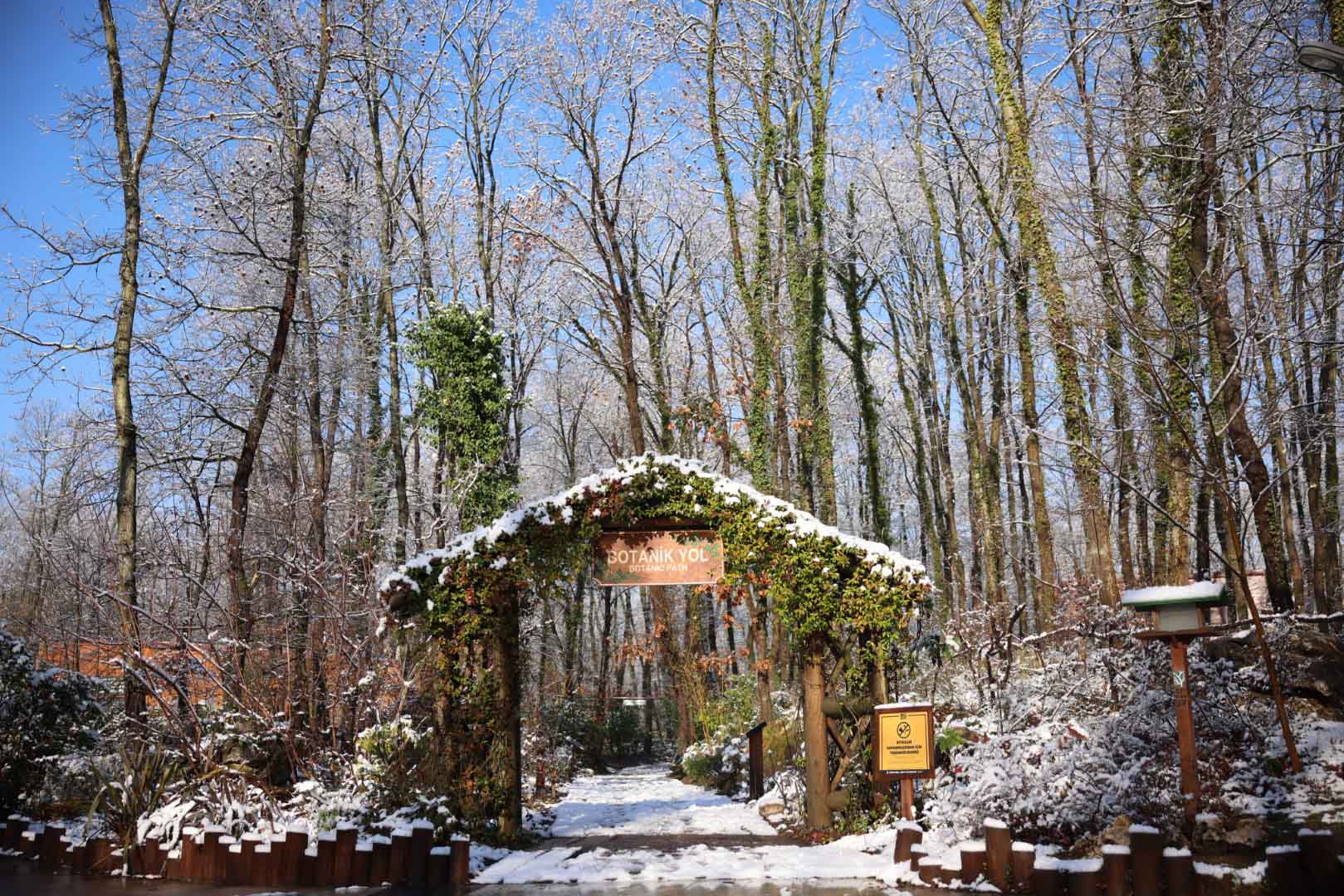 Kartpostallık Görüntüler Ortaya Çıktı (7)