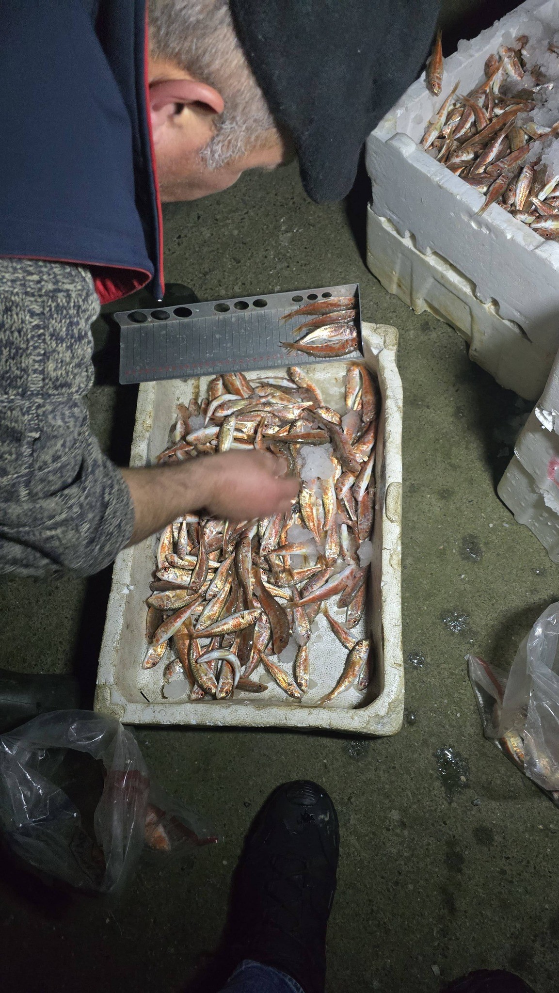 Kastamonu’nun Çatalzeytin Ilçesinde Gerçekleştirilen Denetimlerd (3)