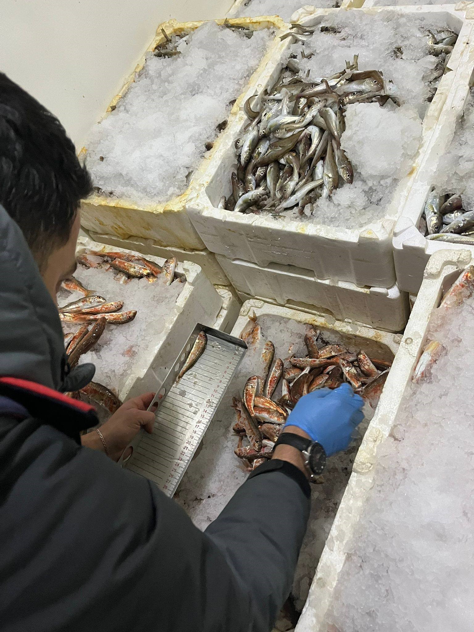 Kastamonu’nun Çatalzeytin Ilçesinde Gerçekleştirilen Denetimlerd (5)