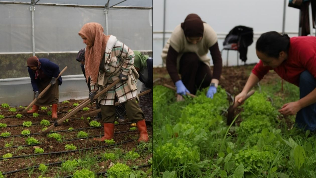Kocaeli Tarım Akademisi, Nitelikli Çiftçiler Yetiştirmeye Devam Ediyor (2)