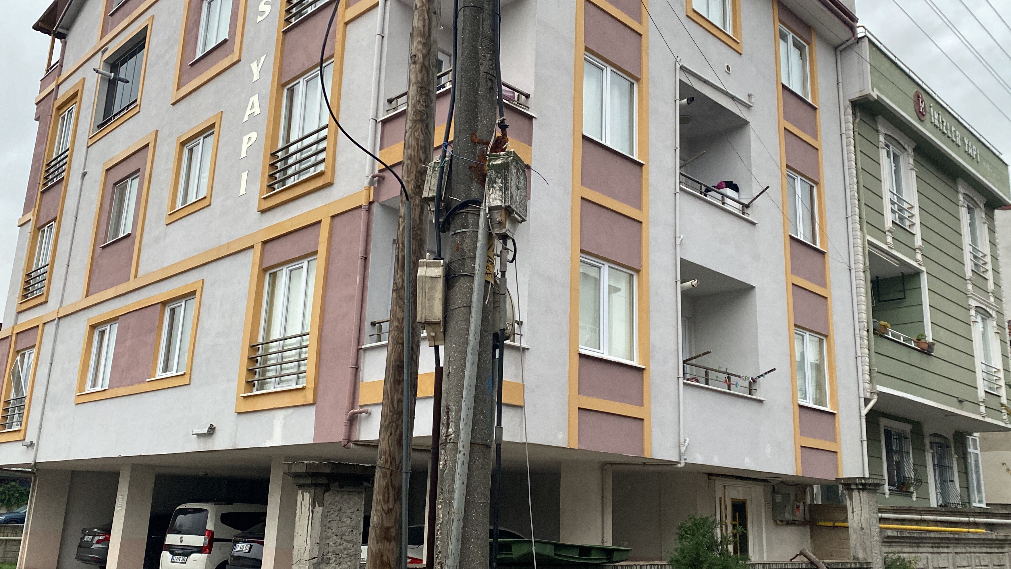 Kocaeli'de 12 Metrelik Ağaç Devrildi, Elektrik Hatları Koptu! 04