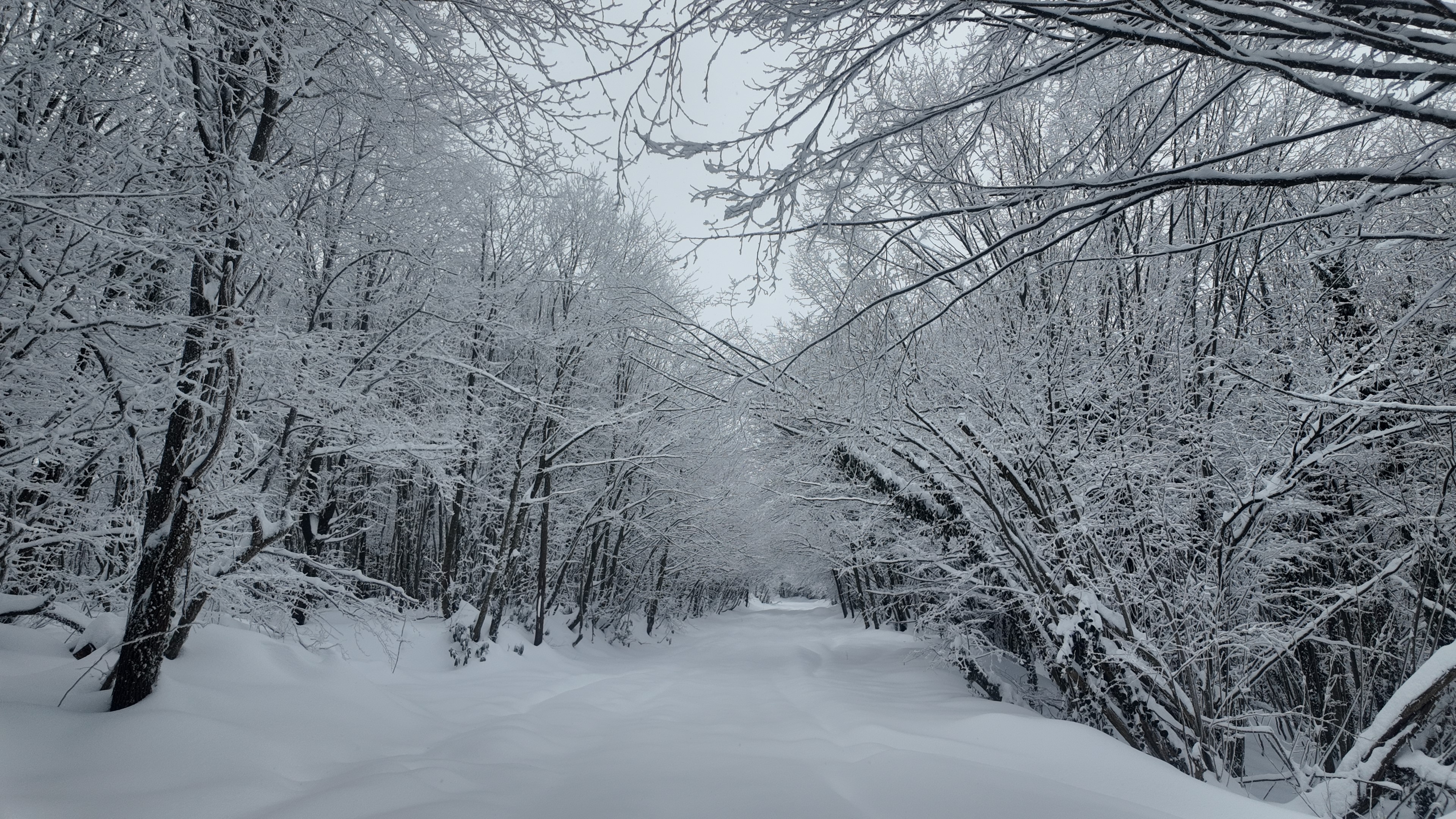 Kocaeli'de Adrenalin Tutkunları Buraya! Macera Ve Kar Buluştu 05