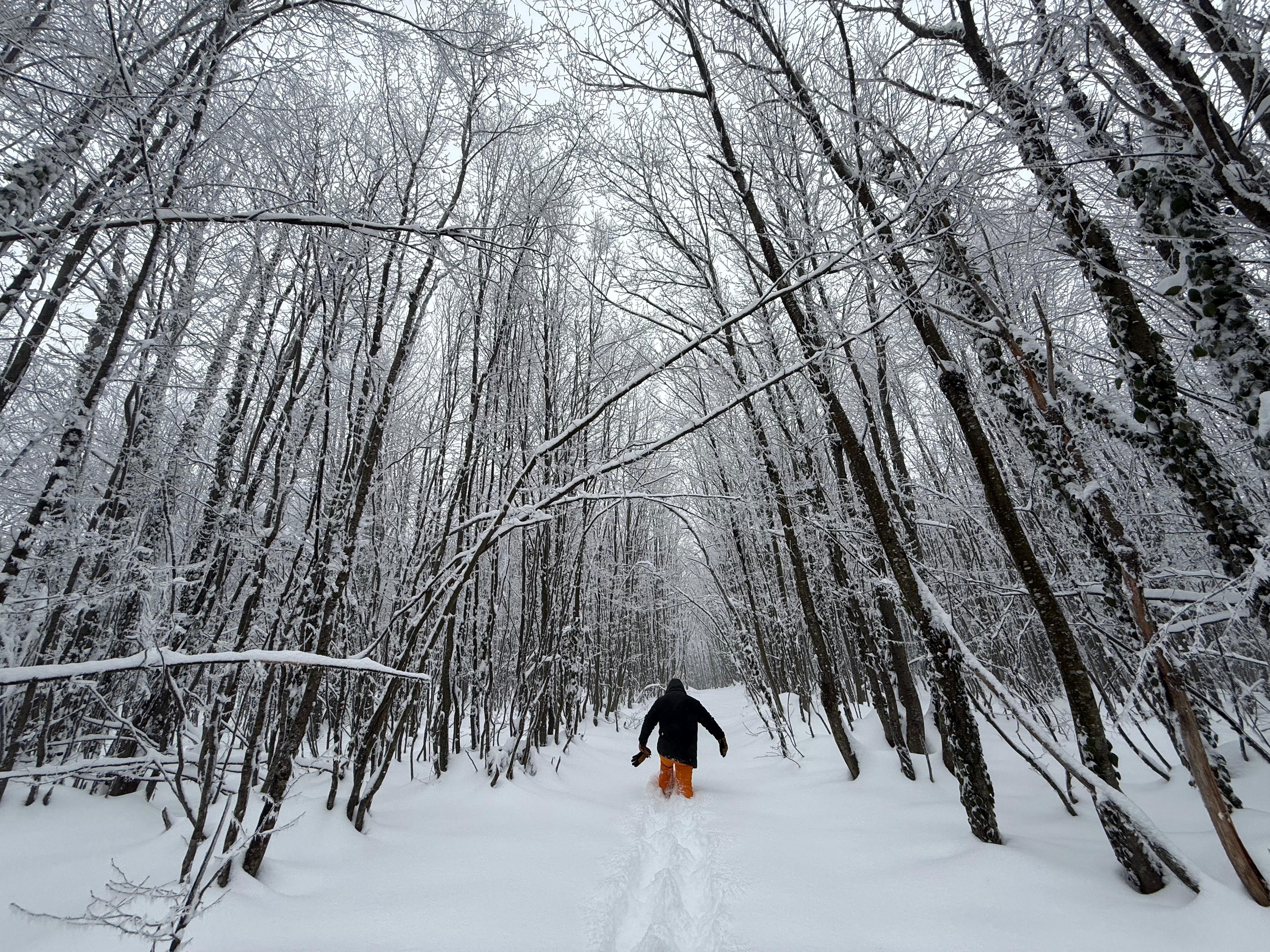 Kocaeli'de Adrenalin Tutkunları Buraya! Macera Ve Kar Buluştu 08