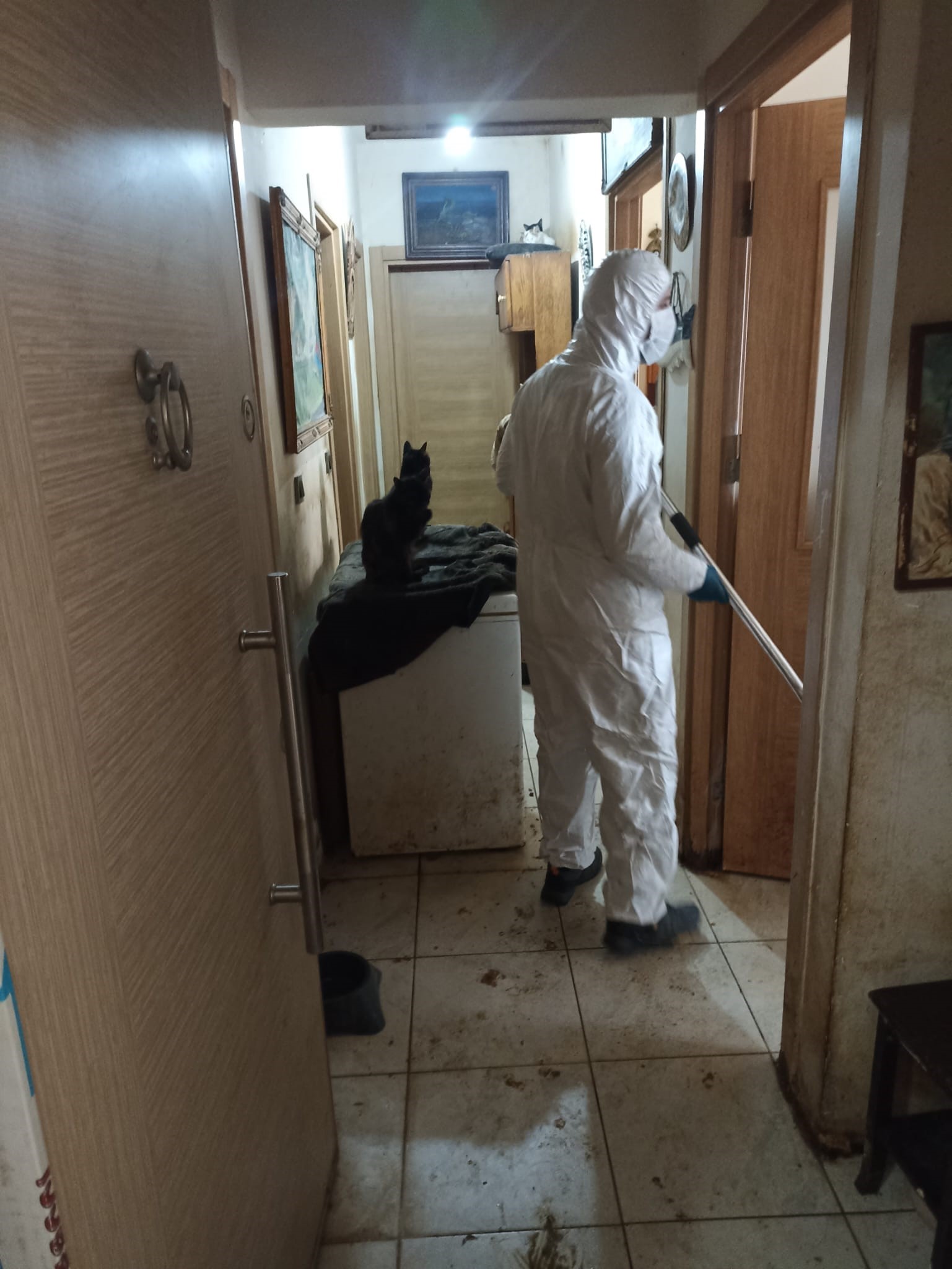 Korkunç Manzara! Kandıra’da 55 Hayvan Aç Ve Susuz Bırakılmış 02