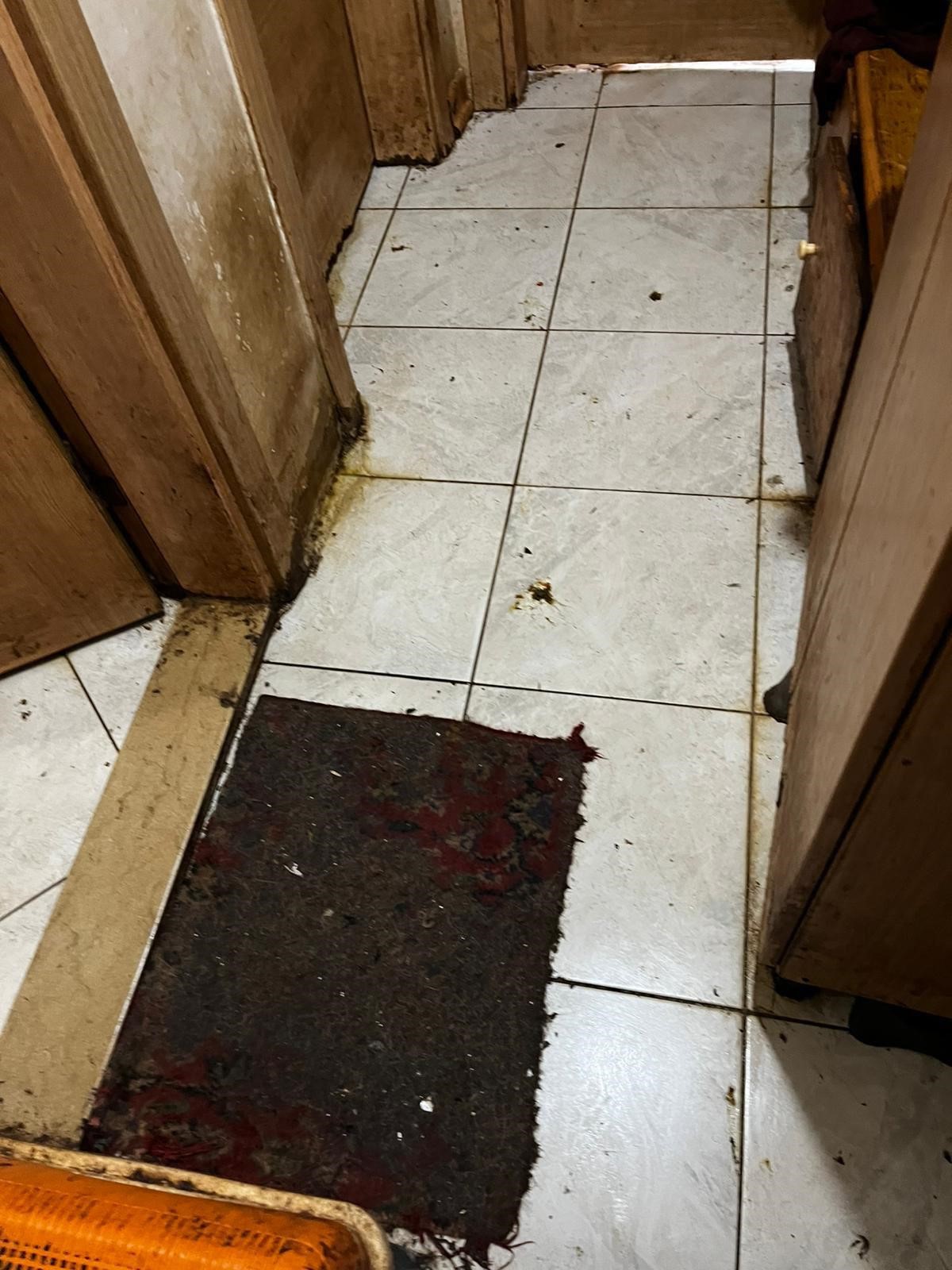 Korkunç Manzara! Kandıra’da 55 Hayvan Aç Ve Susuz Bırakılmış 06