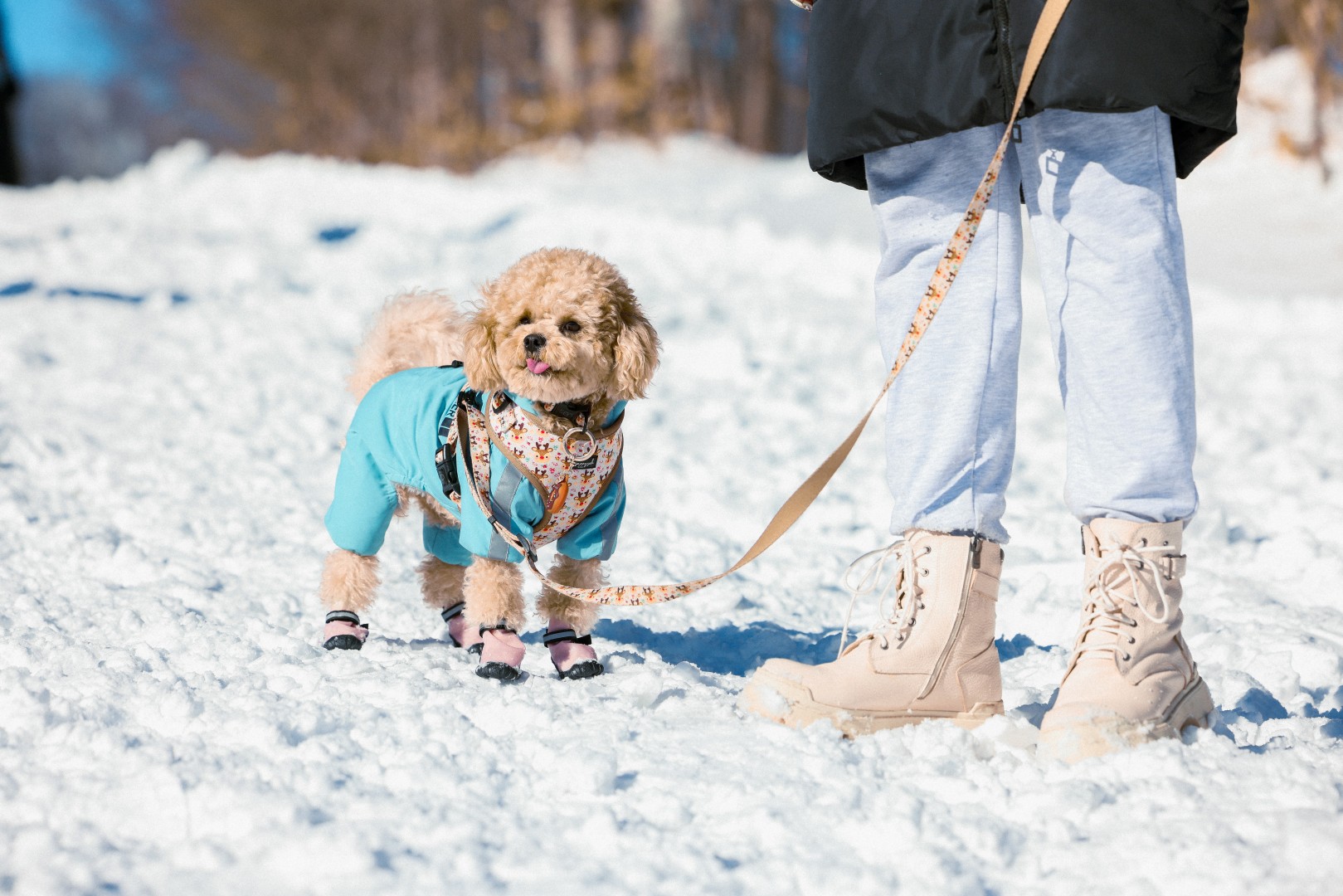Kuzuyayla'da Kar Keyfi Kış Masalına Dönüştü (4)
