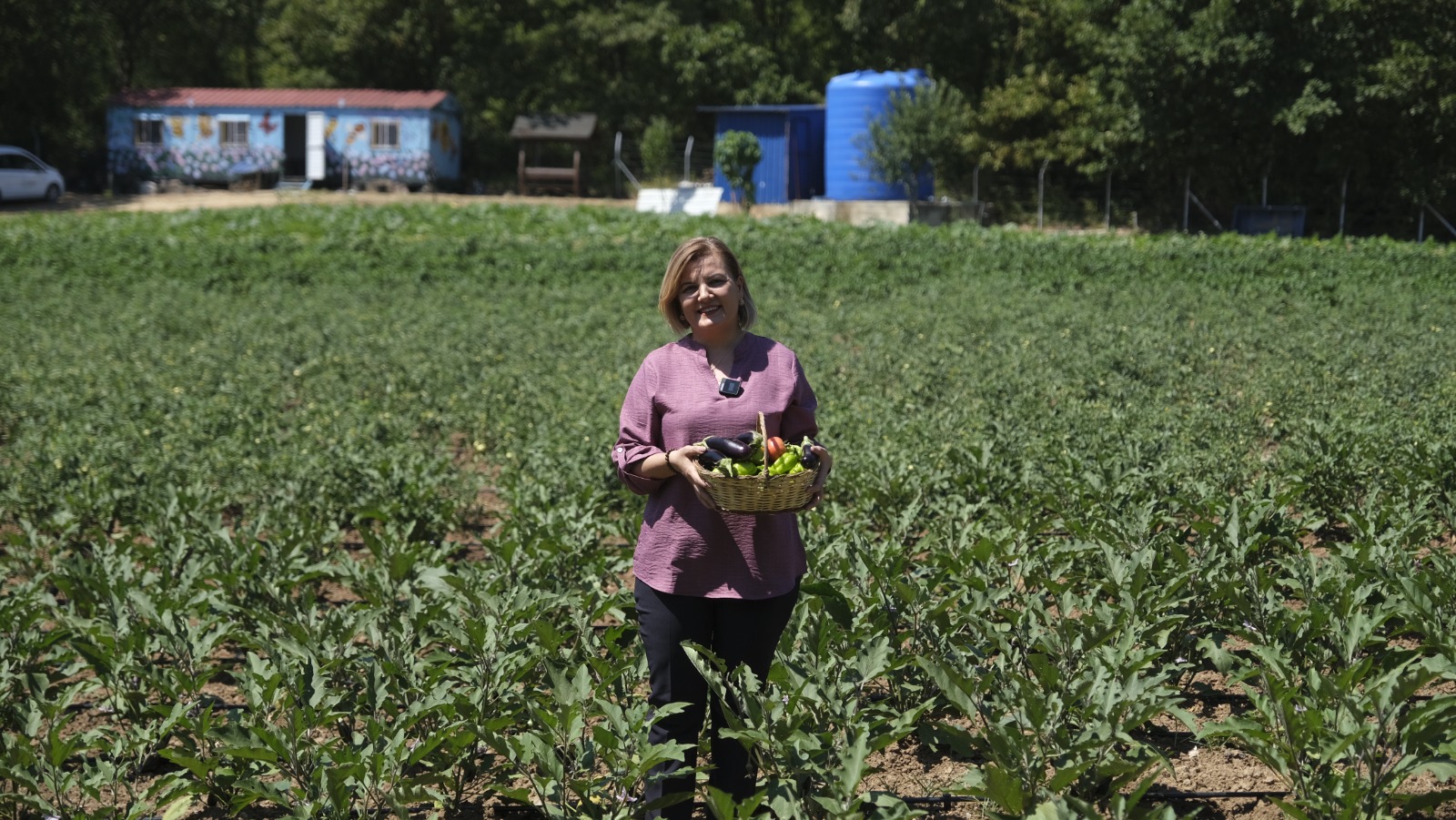 Örnek Dayanışma Modeli (3)