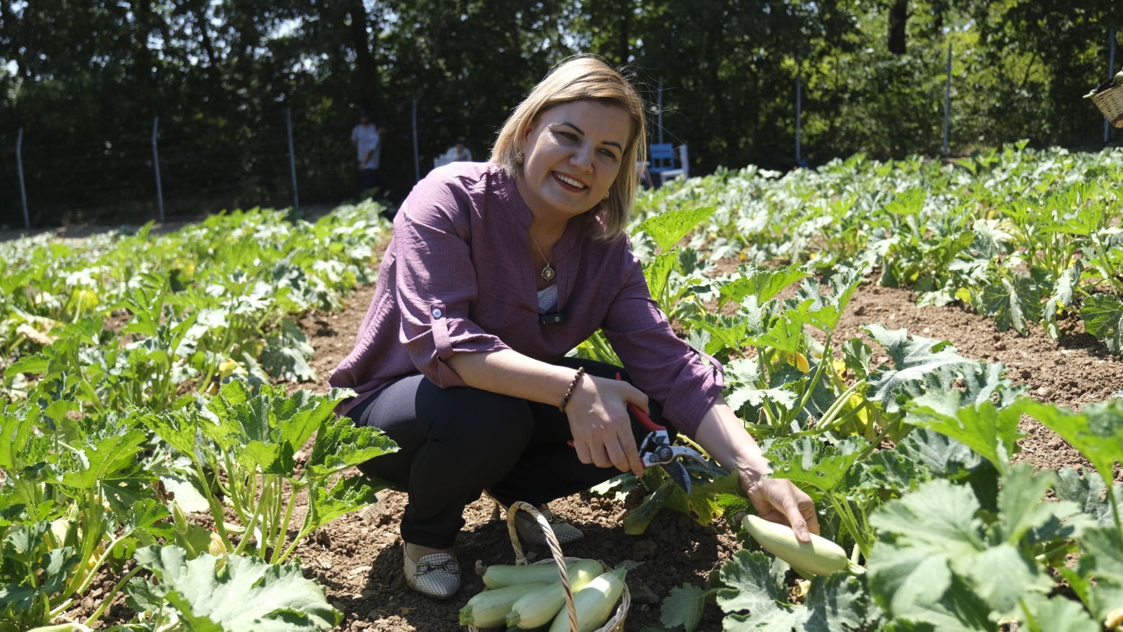 Örnek Dayanışma Modeli (5)