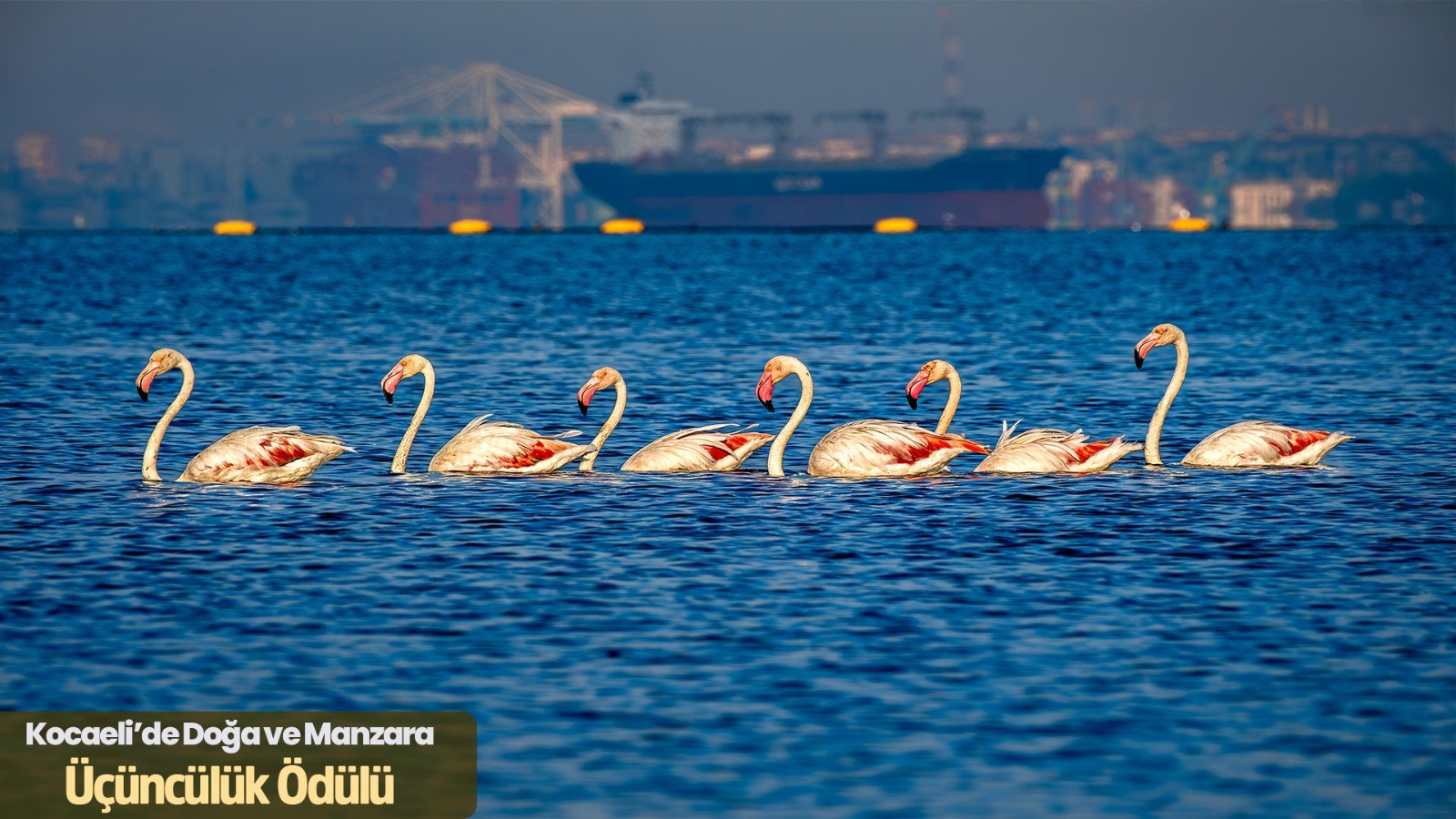 “Turist Gözüyle” Objektiflere Yansıdı (8)