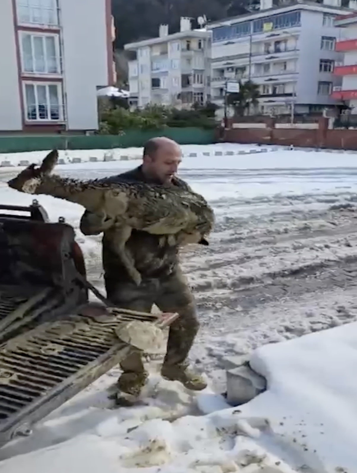 Uçurumdan Düşen Karaca İçi̇n Zamanla Yariştilar (1)-1