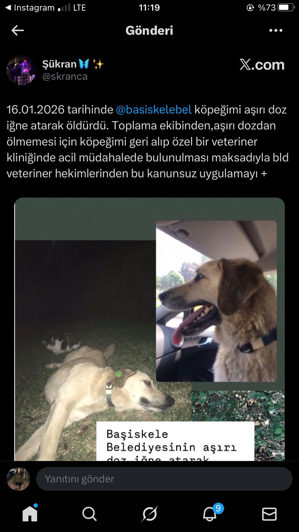 Whatsapp Image 2026 01 19 At 12.23.28