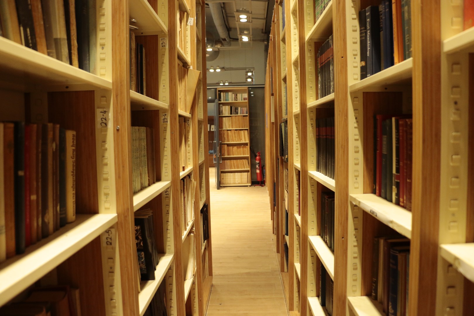 Bu Merkez, Kocaeli'nin Tarihine Işık Tutacak (3) (Büyük)