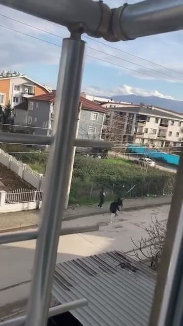 Çocuk Havaya Ateş Açti (3)