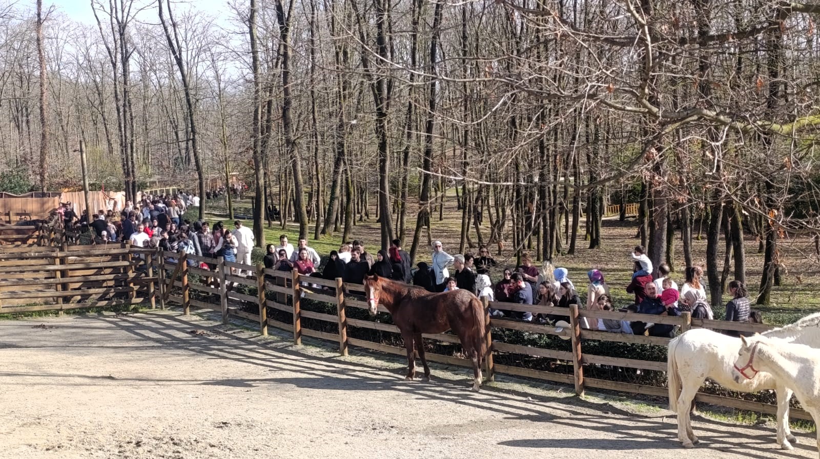 Güzel Havanın Rotası Ormanya Oldu (10)