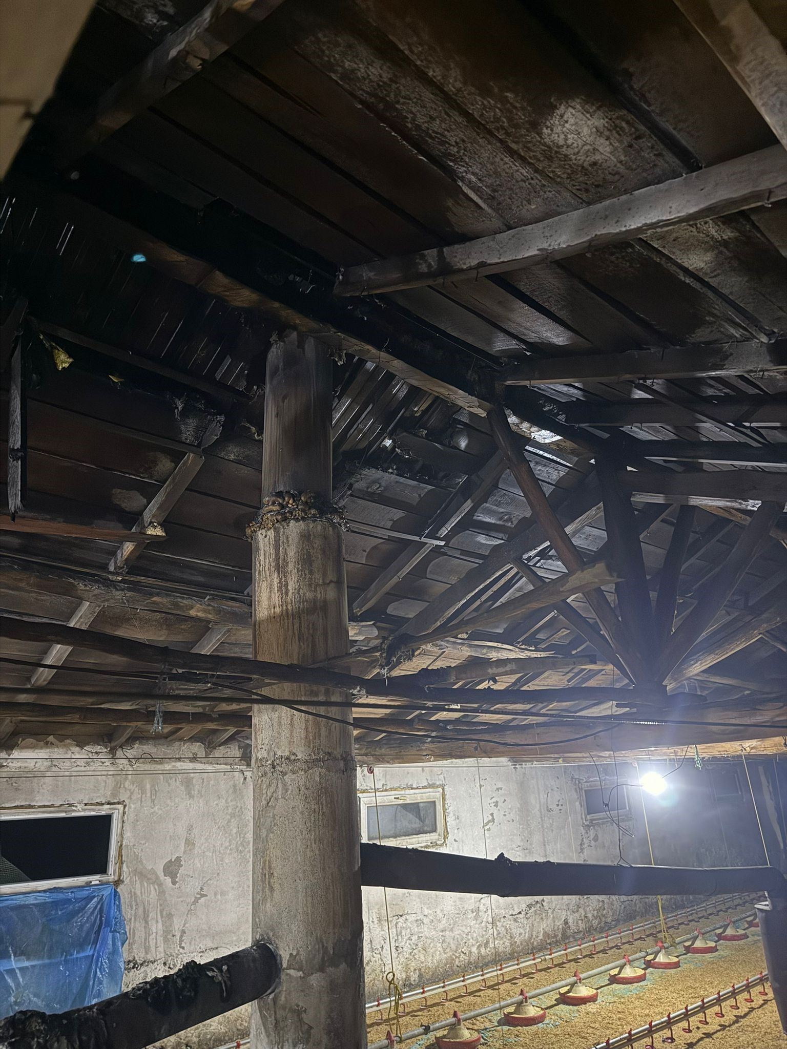 Sobadan Çikan Yangin Kümesi̇ Küle Çevi̇rdi̇ (3)