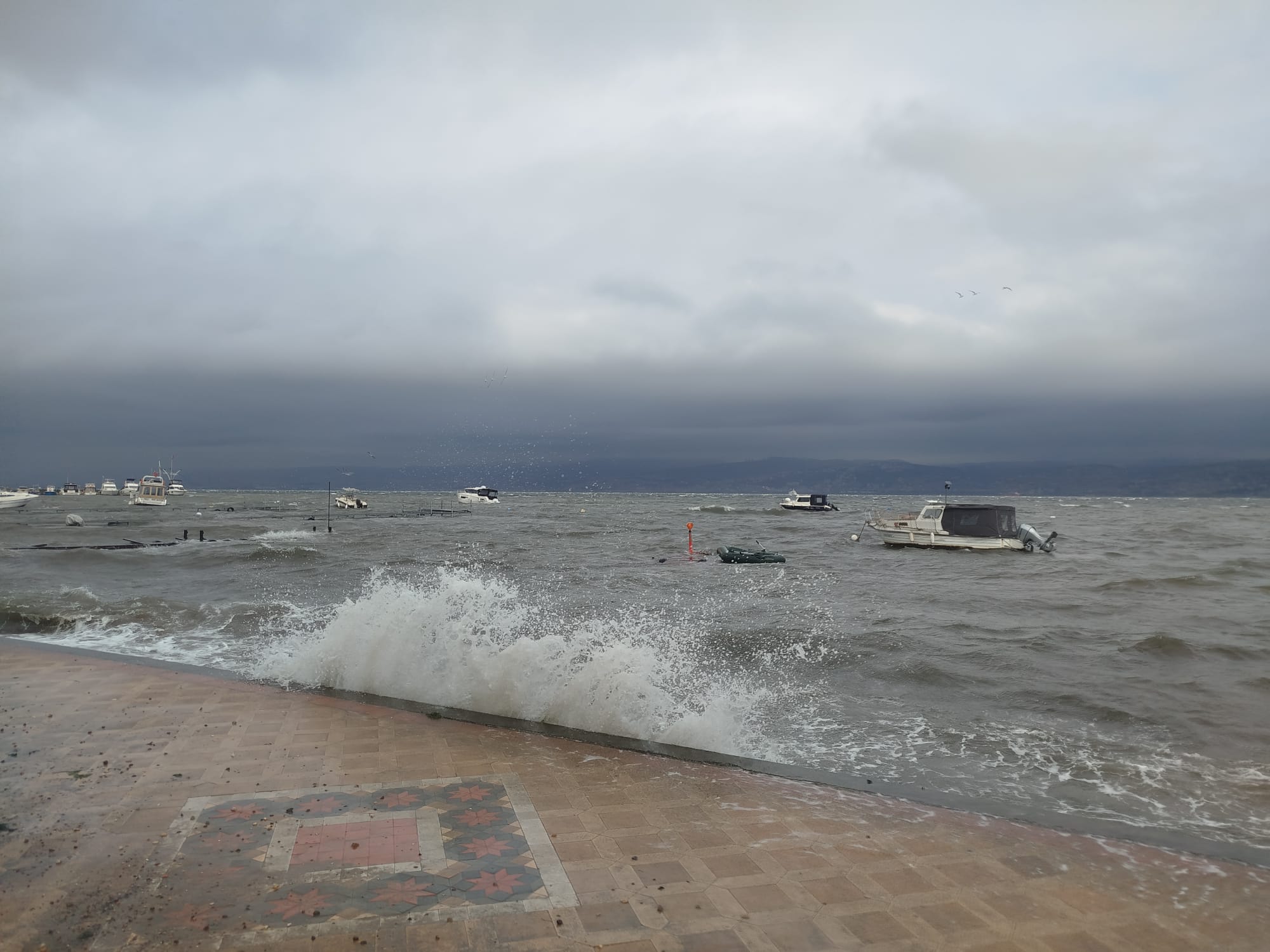 Whatsapp Image 2026 02 18 At 10.06.02