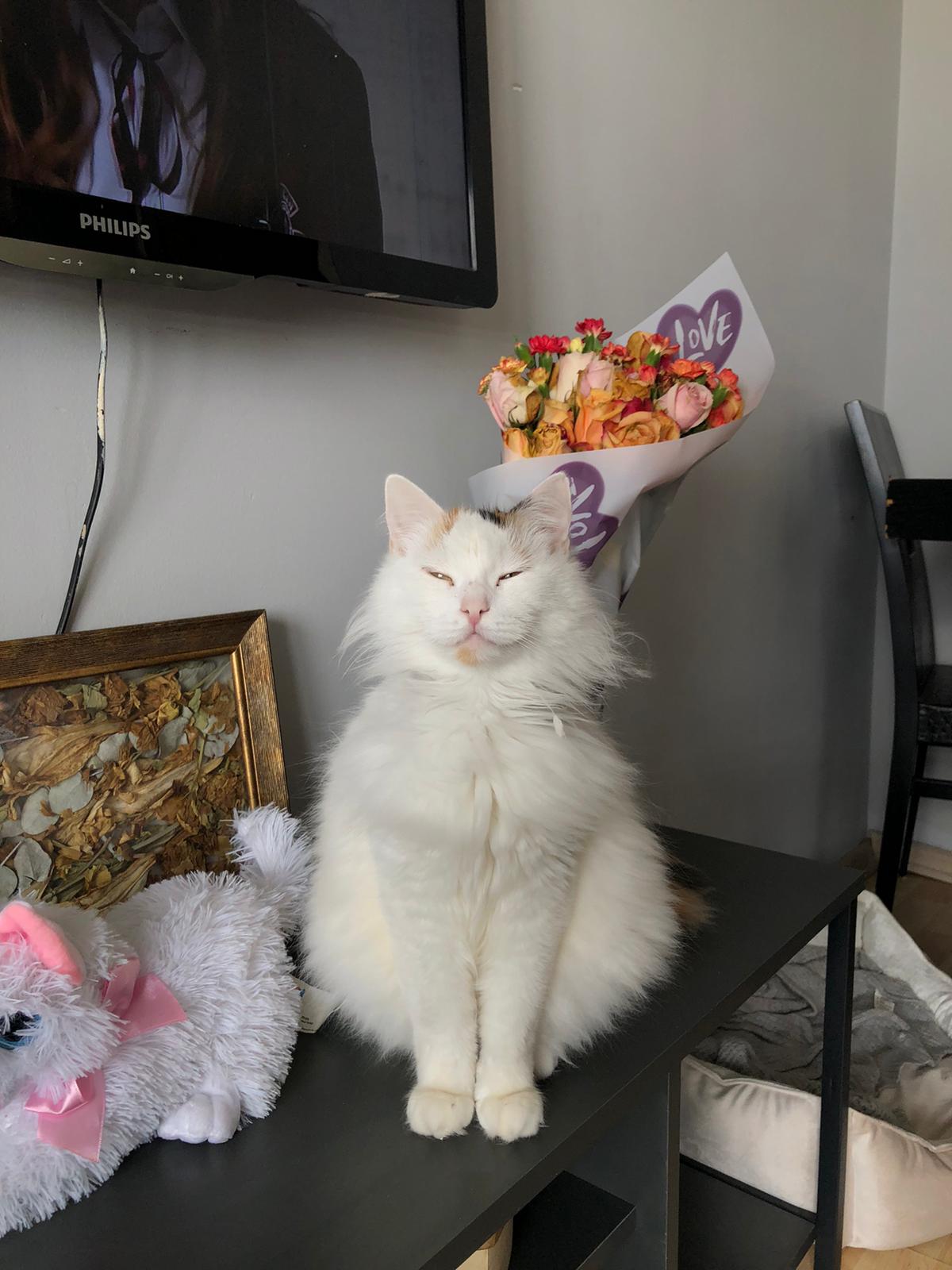 Whatsapp Image 2026 02 24 At 14.19.29