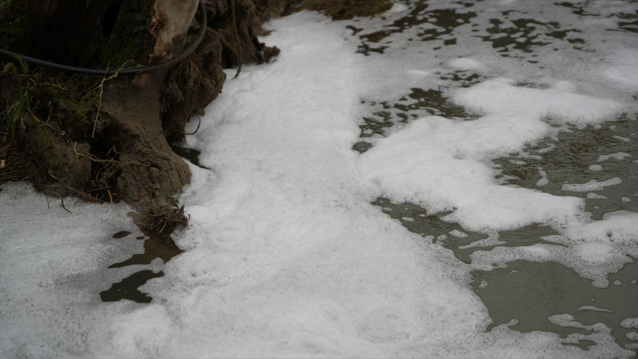 Zehi̇r Saçiyor (8)