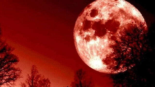 6161Eb7D 7Inr8E7Ilbdrrlrl84T9D