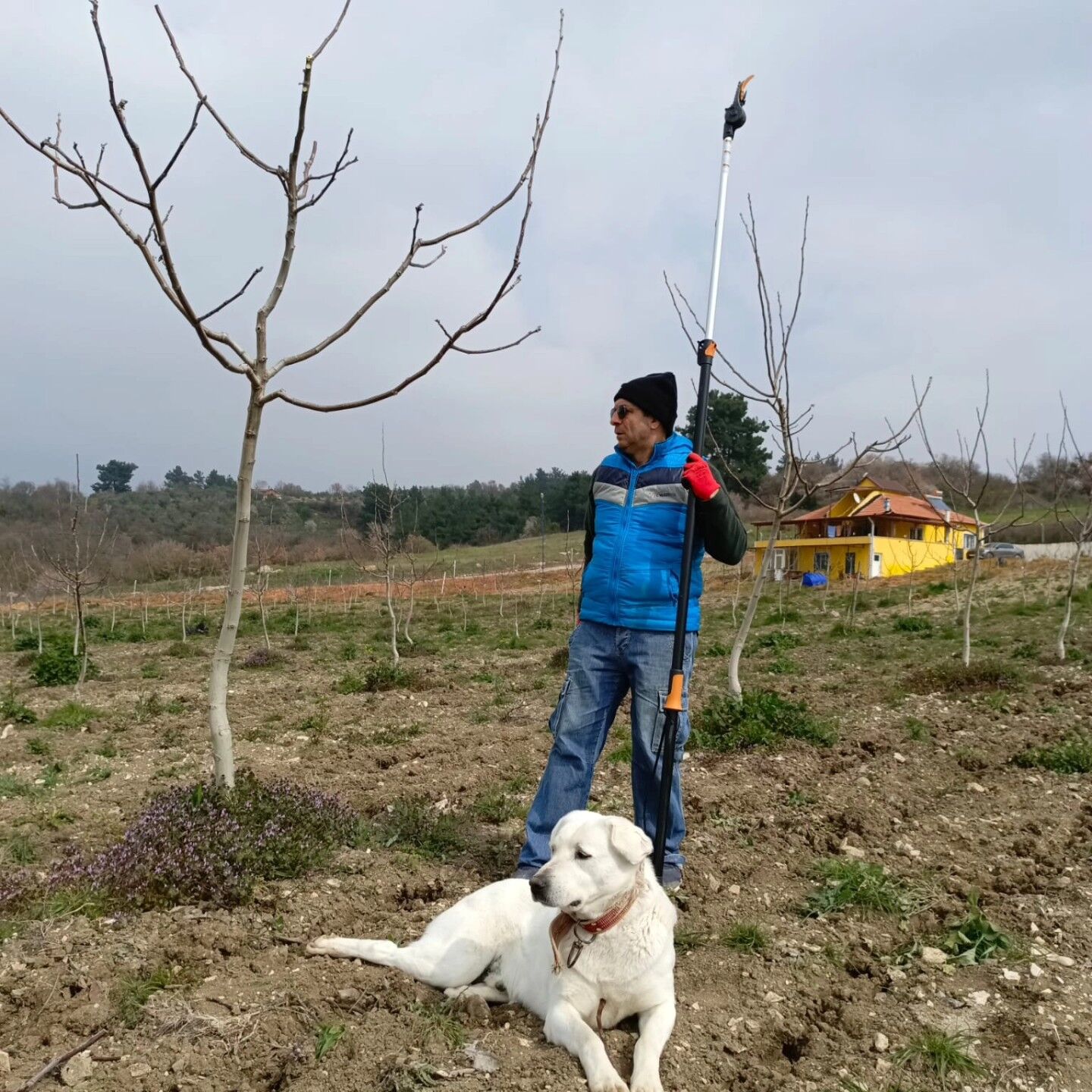 651708527 26650350634556523 8299215224907746404 N