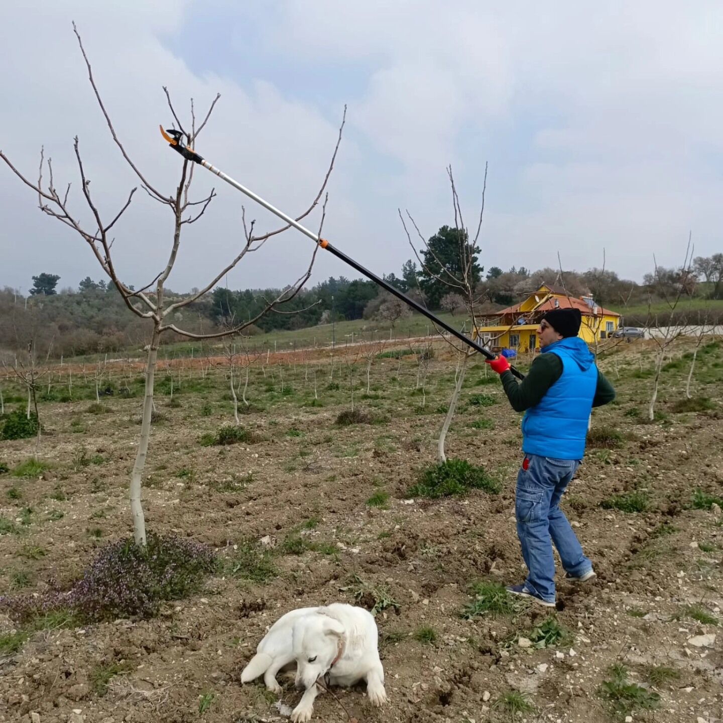 653237883 26650350647889855 8384113960664133424 N