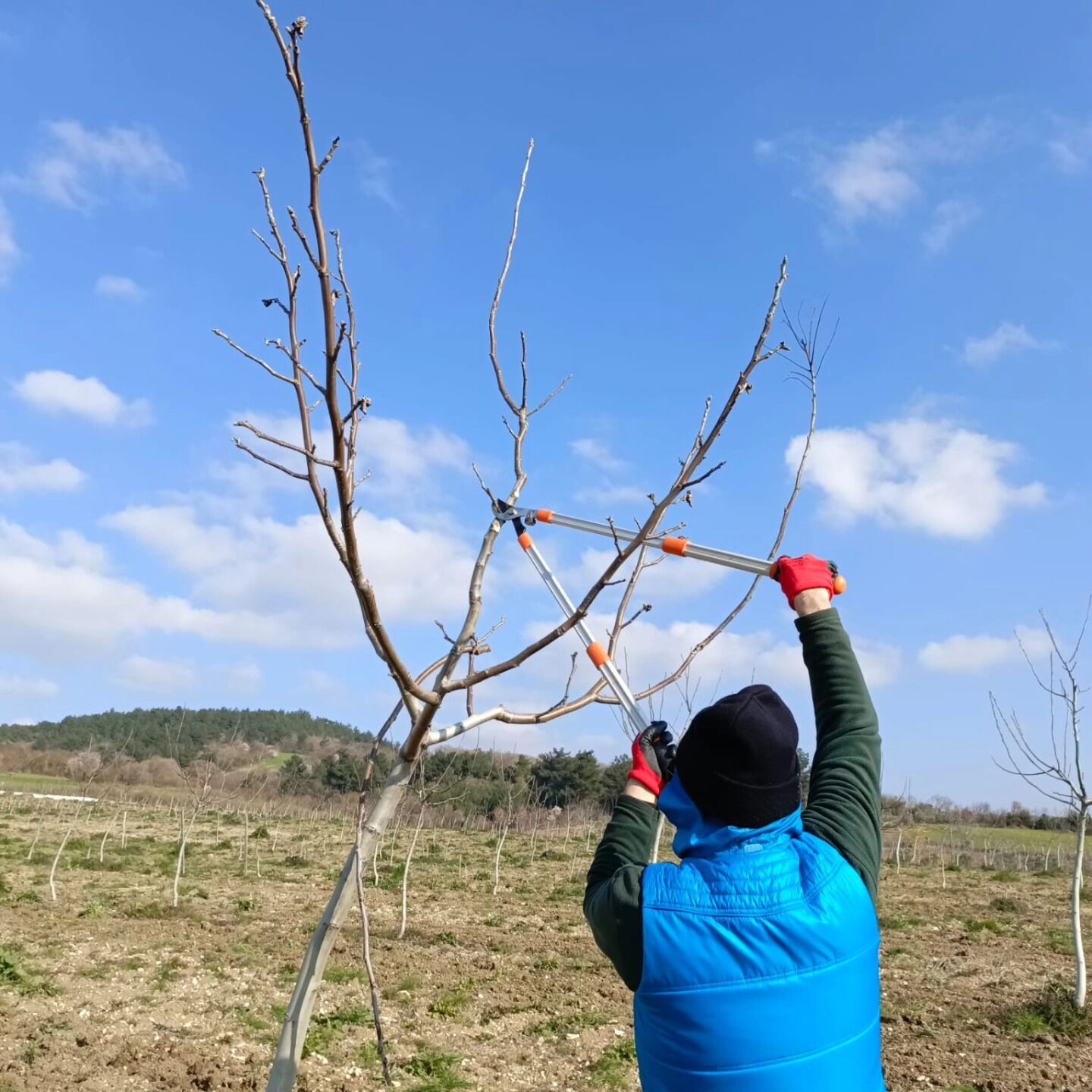 653711275 26650350637889856 2975127025849276055 N