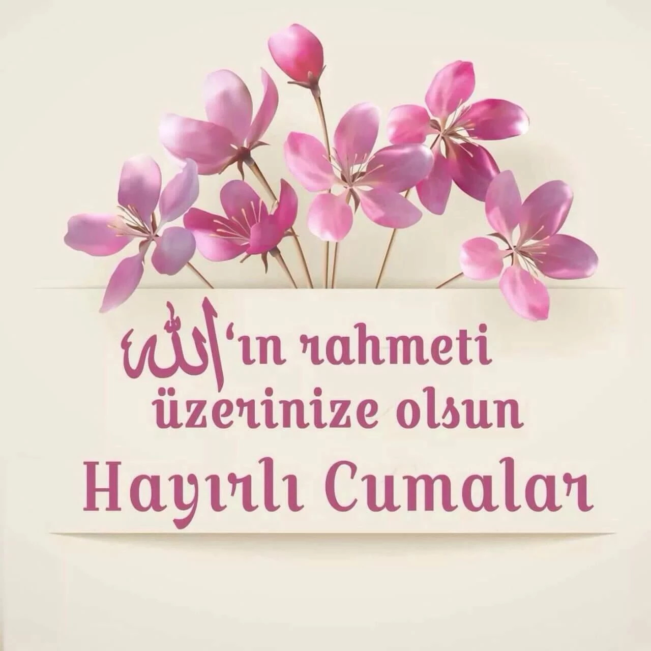 697262D1A50456Cea5B4874D