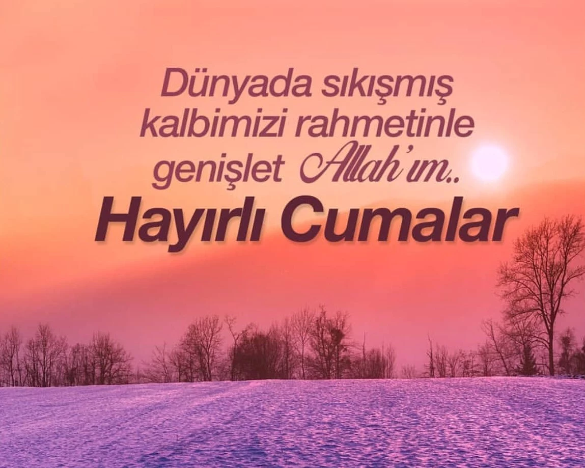 69A08B15Eb59Fdefaeb2442B