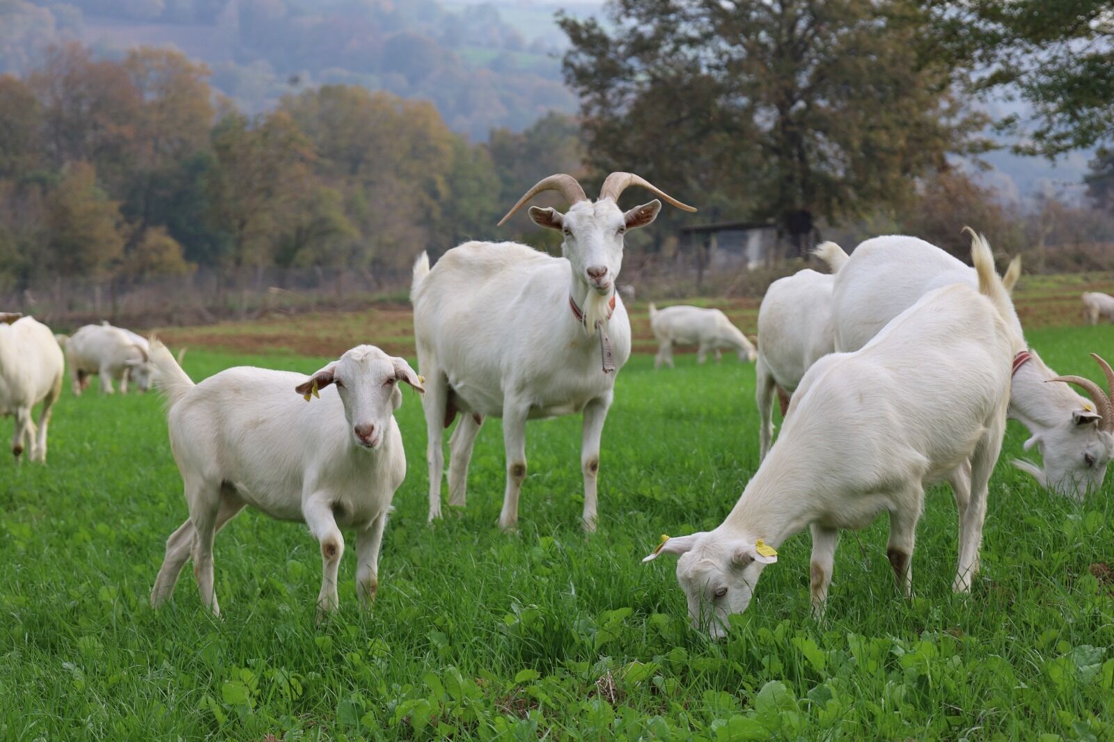 95 Projeye 1 Milyar 455 Milyon Tl Destek (4)