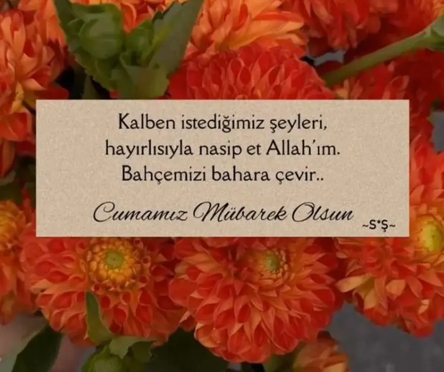 Ac8B0C6C 3B7F 40Db 82E0 0D7Af713Db27